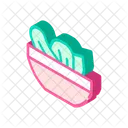 Salad Plate Isometric Icon