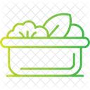 Salad  Icon