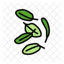 Salad  Icône
