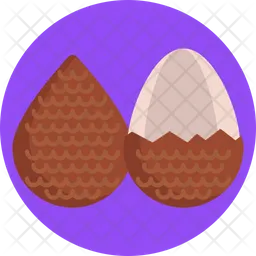 Salak  Icon