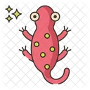 Salamander Wildlife Animal Icon