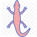 Salamander Wildlife Animal Icon