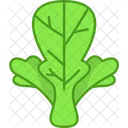 Kopfsalat  Symbol