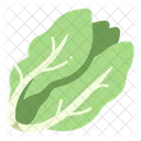 Salat  Symbol