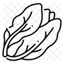 Salat  Symbol