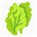 Salat  Symbol