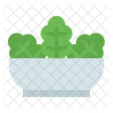 Salat  Symbol