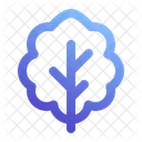 Salat  Symbol