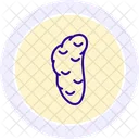 Salivary Glands Line Icon Icon