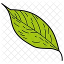 Sallow Leaf Leaf Foliage Icon