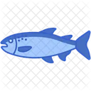 Salmon Icon