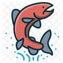 Salmon  Icon