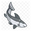 Salmon Fish Wildlife Icon