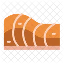 Salmon  Icon