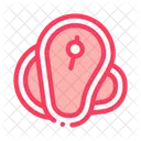 Salmon Fillet Protein Icon