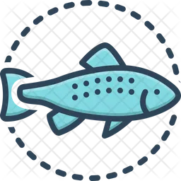 Salmon Fish  Icon