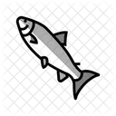 Salmon Fish  Icon
