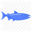 Salmon Coral Trout Icon