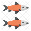 Salmon Fish Animal Icon