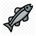 Salmon  Icon