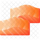 Salmon Food Fish Icon