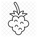  Icône