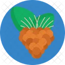 Exotic Fruits Salmonberry Food Icon