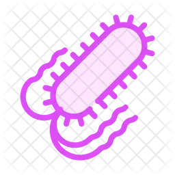 Salmonella  Icon