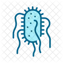 Bacteria Salmonella Typhi Typhoid Icon