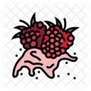 Splash Frambuesa Fruta Icono