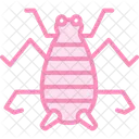 Saltamontes Saltamontes Insecto Icono