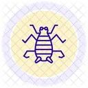 Saltamontes Saltamontes Insecto Icono