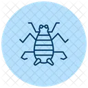 Saltamontes Saltamontes Insecto Icono