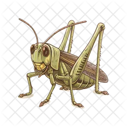 Saltamontes  Icono