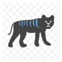Leopardo Animales La Vida Silvestre Icono