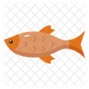 Saltwater species  Icon