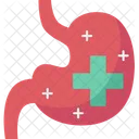 Saludable Estomago Digestion Icon