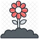 Saludable Flor De Tetera Planta Icono