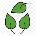 Naturaleza Planta Verde Icon