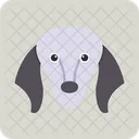 Saluki Pet Canine Icon