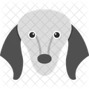 Saluki Pet Canine Icon