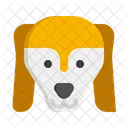 Saluki Pet Dog Dog Icon