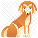 Saluki  Ícone