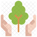 Albero Ecologia Salva Icon