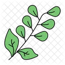 Common Sage Leaves Officinalis Symbol