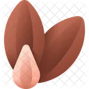 Samen Lebensmittel Indisch Symbol
