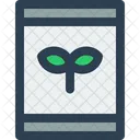 Samen  Symbol