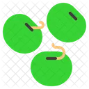 Samen Samen Saen Symbol