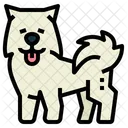 Samoyed  Icon