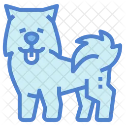 Samoyed  Icon